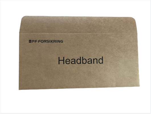 Secure Shipping Introduction Custom Printed Rigid Kraft Paper Envelope With Logo