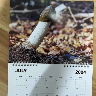 Custom Wall Calendar Stand Out With Personalization And Durable Spiral Binding