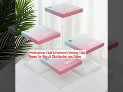 Professional CMYK/Pantone Printing Cake Boxes for Biscuit Distribution and Sales